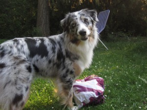 klicken Wesley vorher