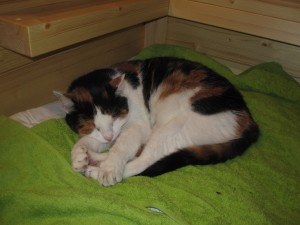 klicken IMG_8704